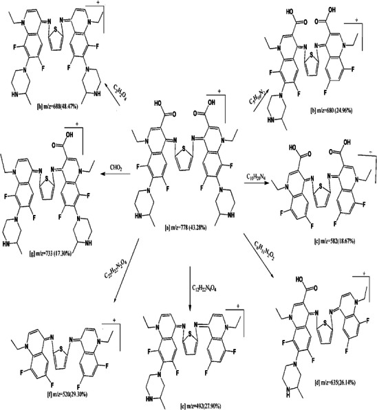 PMC12716001 – cbdv70504-fig-0005
