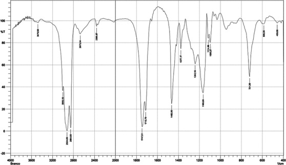 PMC12715983 – cbdv70301-fig-0001