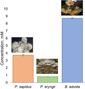 PMC12716018 – cbdv70364-fig-0005