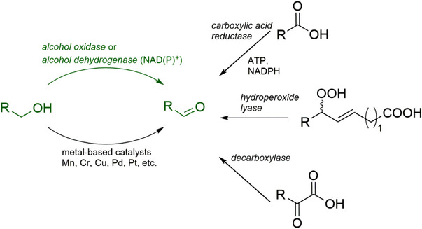 PMC12716018 – cbdv70364-fig-0001