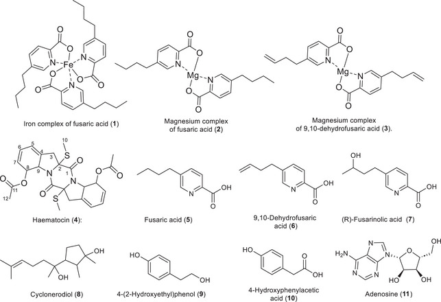PMC12715984 – cbdv70414-fig-0001