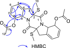 PMC12715984 – cbdv70414-fig-0002