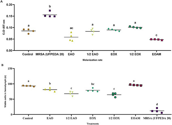 PMC12629163 – cbdv70217-fig-0006