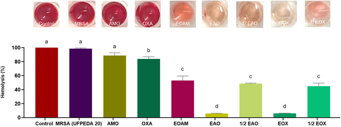 PMC12629163 – cbdv70217-fig-0004