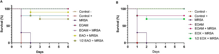 PMC12629163 – cbdv70217-fig-0005