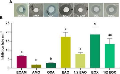 PMC12629163 – cbdv70217-fig-0003