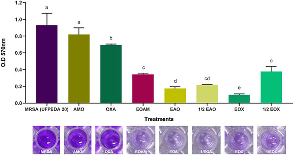 PMC12629163 – cbdv70217-fig-0002