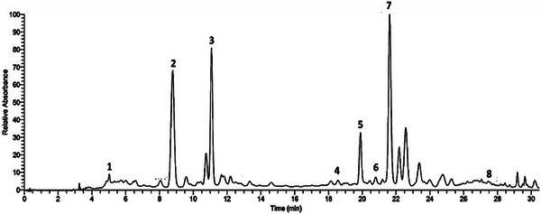 PMC12716011 – cbdv70415-fig-0001