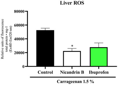 PMC12629155 – cbdv70200-fig-0008