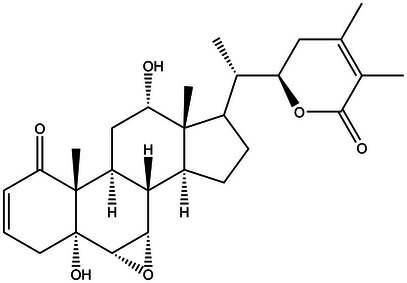 PMC12629155 – cbdv70200-fig-0011
