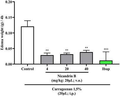PMC12629155 – cbdv70200-fig-0005