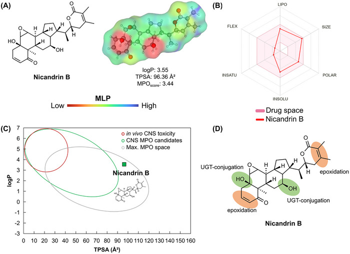PMC12629155 – cbdv70200-fig-0010
