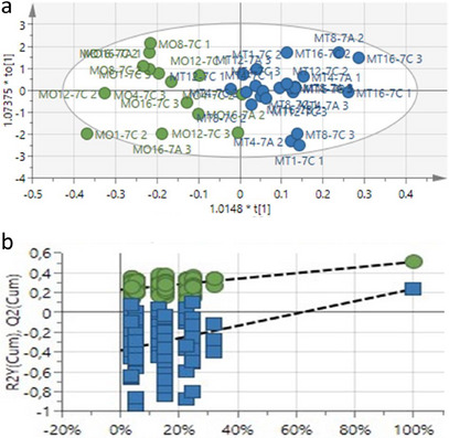 PMC12629178 – cbdv70204-fig-0004