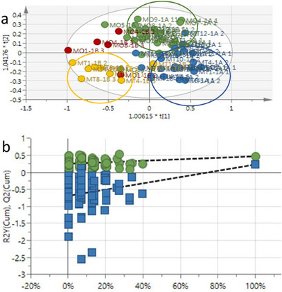 PMC12629178 – cbdv70204-fig-0001