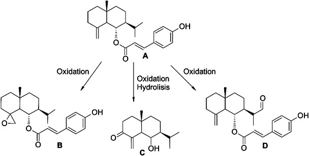 PMC12716012 – cbdv70509-fig-0003