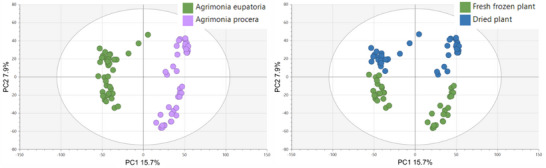 PMC12715982 – cbdv70322-fig-0001