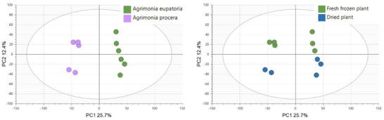PMC12715982 – cbdv70322-fig-0002