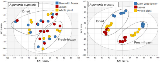 PMC12715982 – cbdv70322-fig-0004