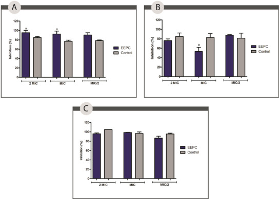 PMC12715980 – cbdv70394-fig-0007
