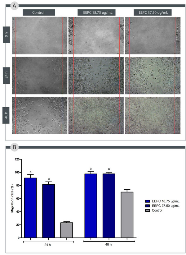 PMC12715980 – cbdv70394-fig-0008