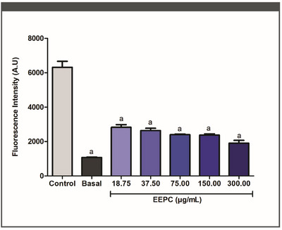 PMC12715980 – cbdv70394-fig-0002