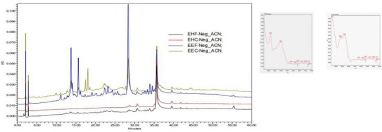 PMC12629154 – cbdv70229-fig-0001