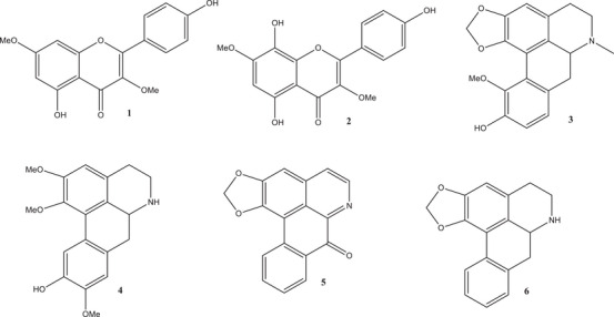 PMC12629154 – cbdv70229-fig-0002