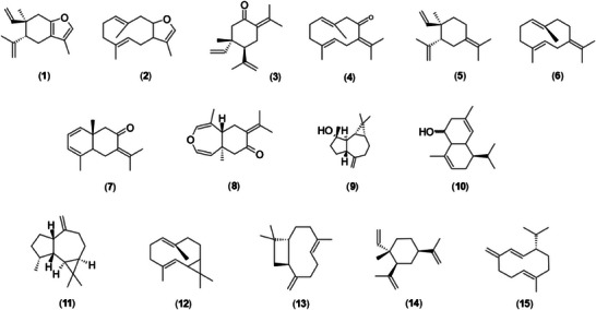 PMC12629159 – cbdv70249-fig-0003