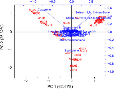 PMC12629159 – cbdv70249-fig-0006
