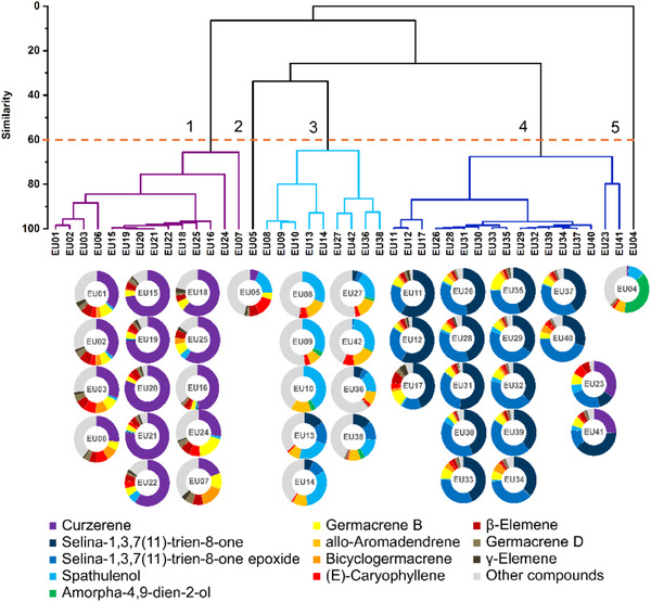 PMC12629159 – cbdv70249-fig-0005