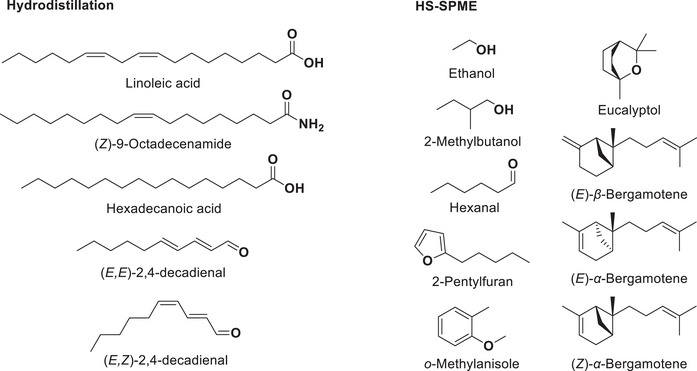 PMC12629156 – cbdv70230-fig-0003