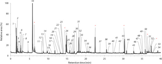 PMC12629156 – cbdv70230-fig-0002