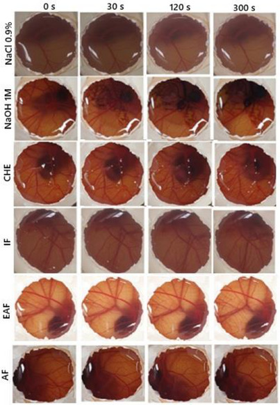 PMC12629169 – cbdv70203-fig-0004