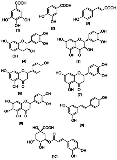 PMC12629169 – cbdv70203-fig-0001
