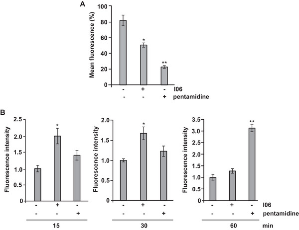 PMC12716003 – cbdv70436-fig-0003