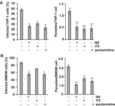 PMC12716003 – cbdv70436-fig-0001