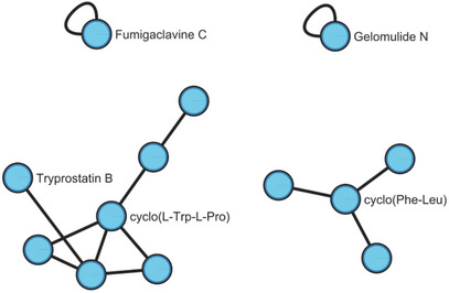 PMC12716003 – cbdv70436-fig-0005
