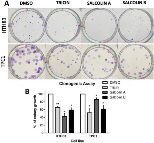 PMC12716014 – cbdv70446-fig-0004