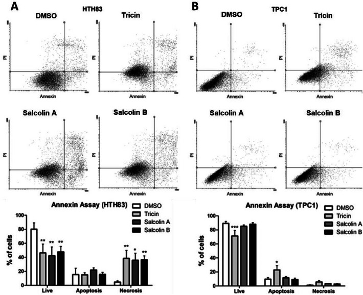 PMC12716014 – cbdv70446-fig-0005