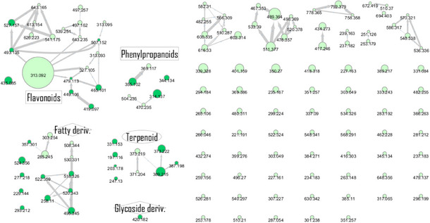 PMC12716014 – cbdv70446-fig-0001