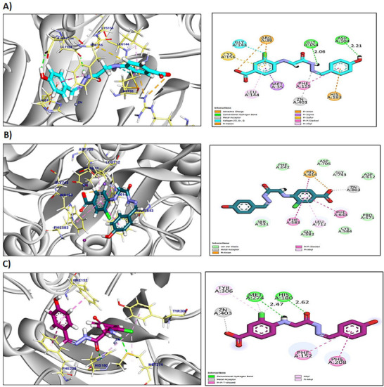 PMC12716022 – cbdv70450-fig-0002