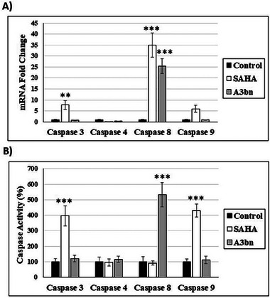 PMC12716022 – cbdv70450-fig-0004