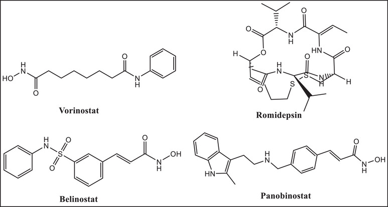 PMC12716022 – cbdv70450-fig-0001