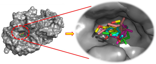 PMC12716023 – cbdv70318-fig-0003