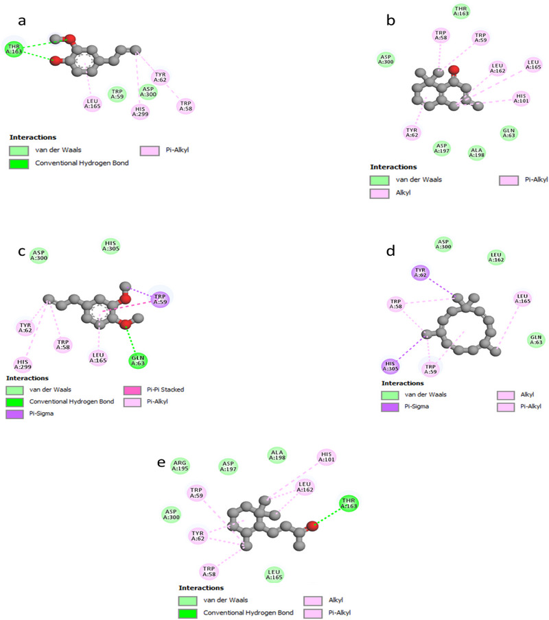 PMC12716023 – cbdv70318-fig-0004