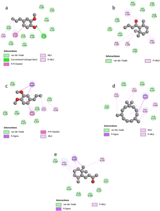 PMC12716023 – cbdv70318-fig-0006
