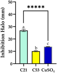 PMC12715989 – cbdv70511-fig-0006