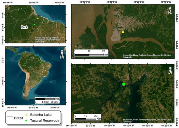 PMC12715989 – cbdv70511-fig-0010