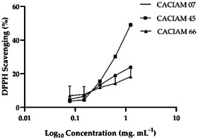 PMC12715989 – cbdv70511-fig-0009