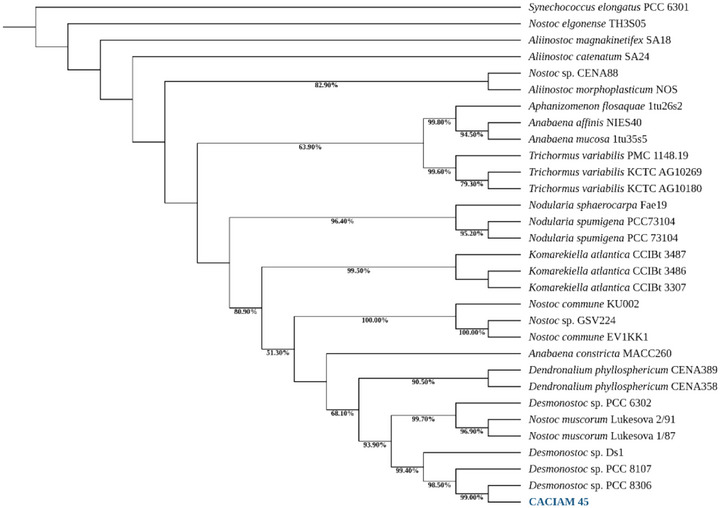PMC12715989 – cbdv70511-fig-0001